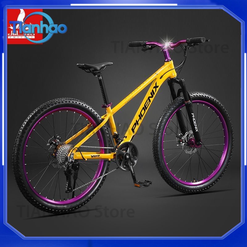 Phoenix Marka Erkek ve Kadınla - Mountain Biking Phoenix incelemesi ve fiyatı